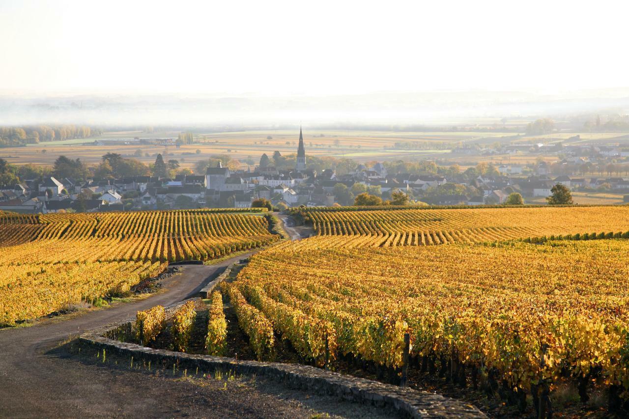 Clos Saint Jacques - Maison D'Hotes Meursault Exteriér fotografie